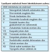 Richter-en eskala seismo batek askatutako energiaren zenbakizko adierazpena da. Magnitudea Wood Anderson-en tortsio sismometroen bidez neurtutako uhinen anplitudearen bidez kalkulatzen da. MSK intentsitate eskala lurraren dardararen eta eraikinetan eragindako kalteen intentsitatearen neurketa kualitatiboa da. 12 maila ditu. Magnitudea ez bezala lurrikara baten intentsitatea fokotik urrundu ahala gutxitu egiten da eta lurzoruaren izaeraren araberakoa da.<br><br>